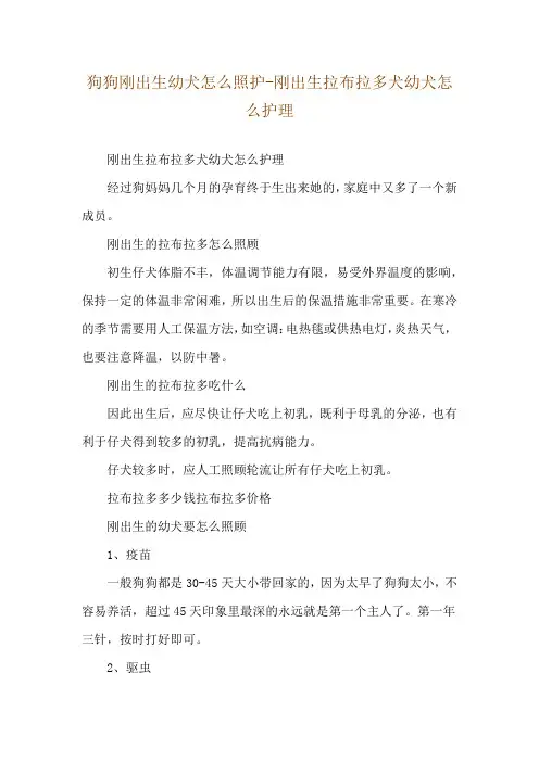 狗狗刚出生幼犬怎么照护-刚出生拉布拉多犬幼犬怎么护理