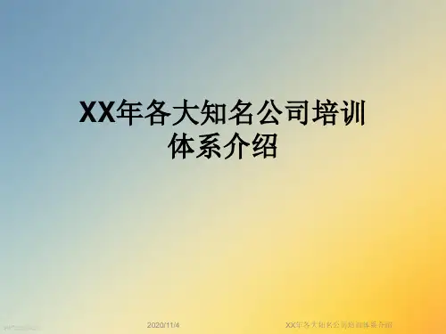 XX年各大知名公司培训体系介绍