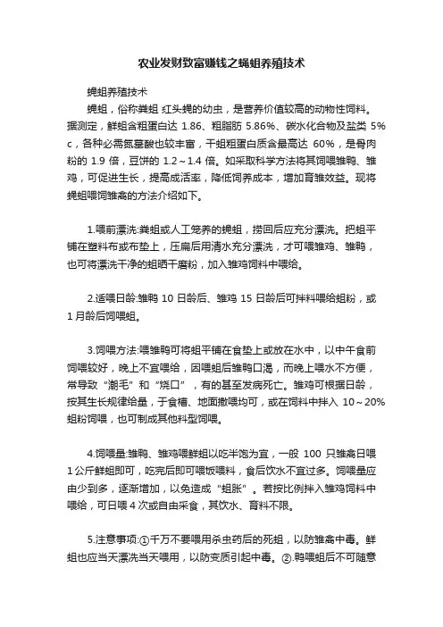 农业发财致富赚钱之蝇蛆养殖技术