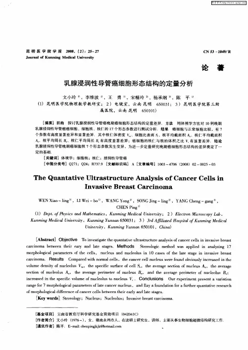 乳腺浸润性导管癌细胞形态结构的定量分析