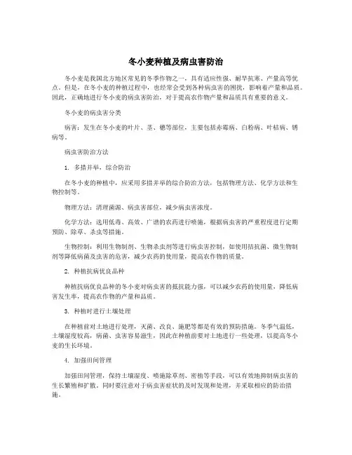 冬小麦种植及病虫害防治
