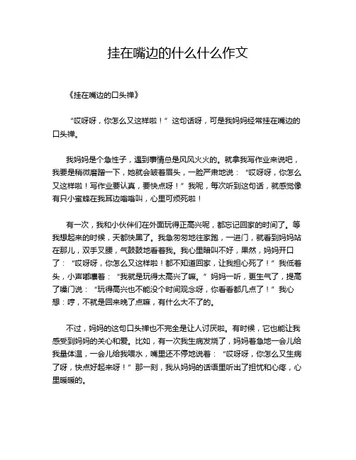 挂在嘴边的什么什么作文