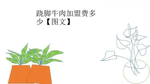 乐山苏稽翘脚牛肉的做法配方【图文】