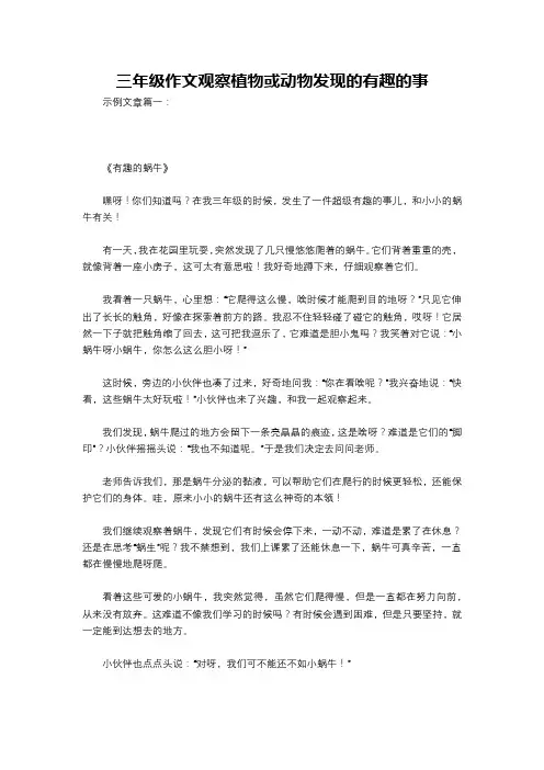 三年级作文观察植物或动物发现的有趣的事