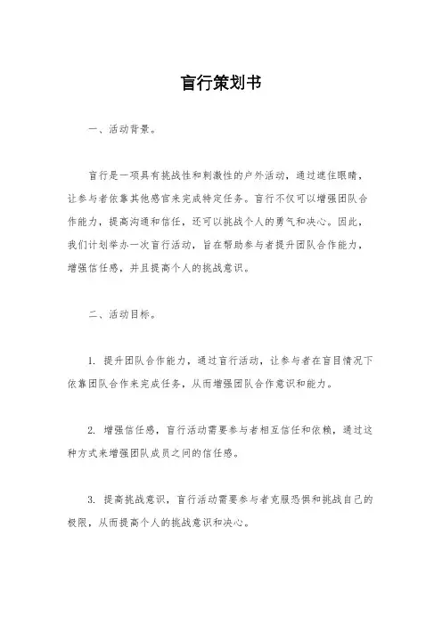 盲行策划书
