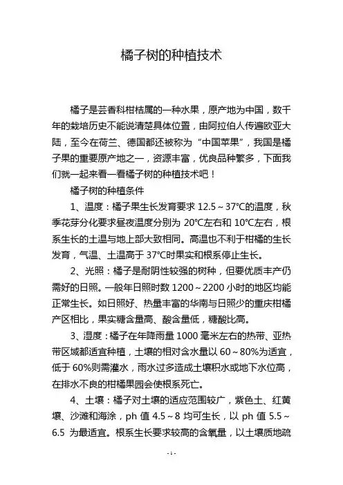 橘子树的种植技术