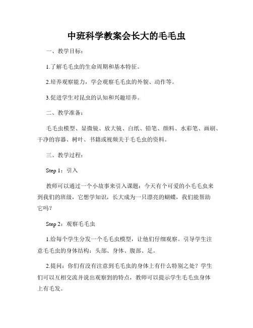 中班科学教案会长大的毛毛虫