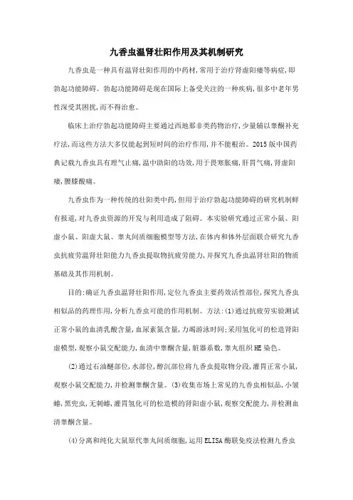 九香虫温肾壮阳作用及其机制研究