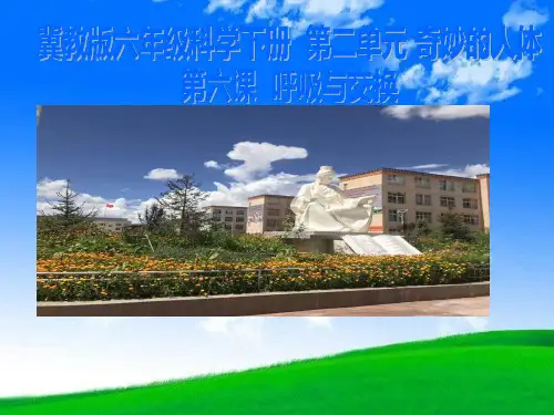 最新版本六年级科学下册精品课件6呼吸与交换91冀人版14张