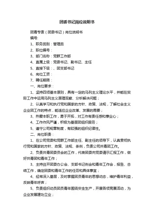 团委书记岗位说明书