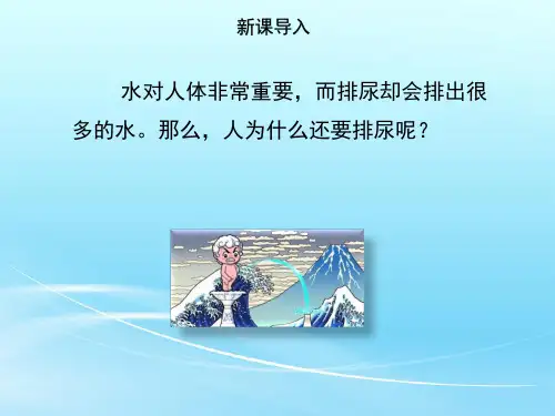 人教版七年级生物 下册 第四单元 5 人体内废物的排出 课件(共49张PPT)