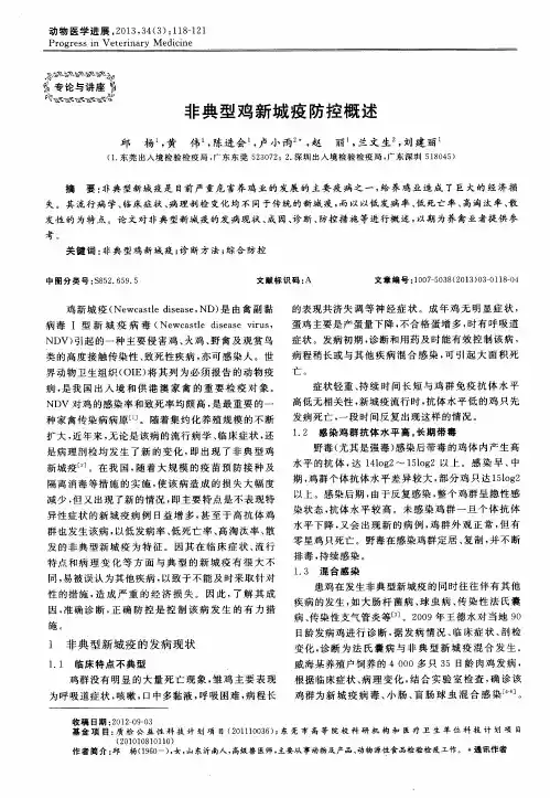 非典型鸡新城疫防控概述