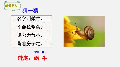部编版一年级语文上册14 小蜗牛(共 43张ppt)