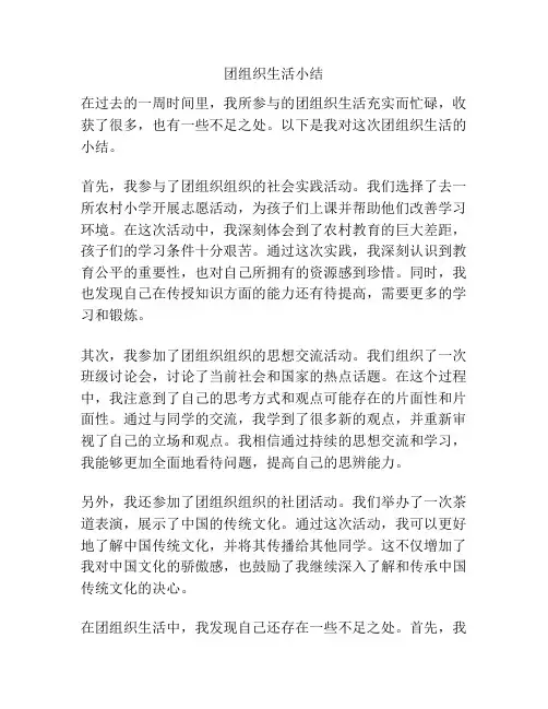 团组织生活小结