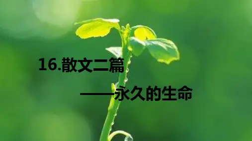 八年级语文上册16散文两篇永久的生命课件