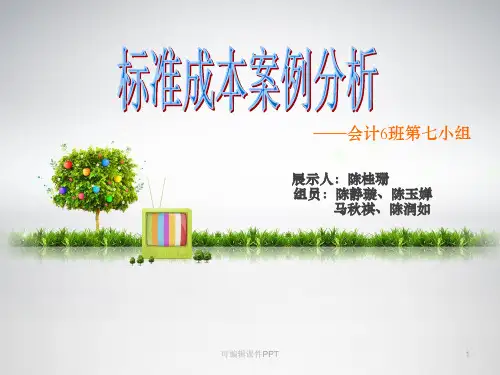 管理会计案例分析ppt课件