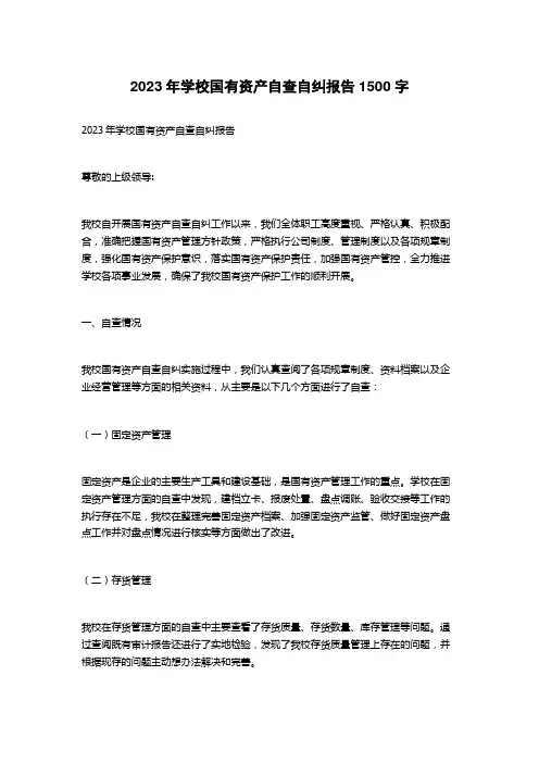 2023年学校国有资产自查自纠报告