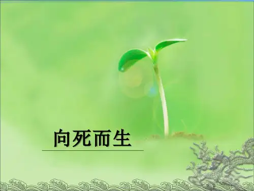 向死而生