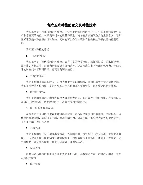 青贮玉米种植的意义及种植技术