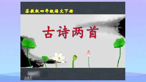 【精品】苏教版四年级语文下册20课古诗两首PPT资料