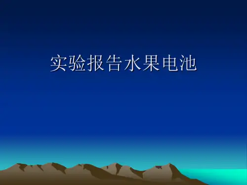 实验报告水果电池PPT课件