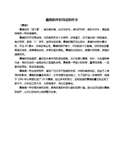 麋鹿的外形特征的作文