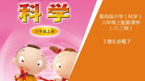 3新青岛版小学科学六年制六年级上册.《馒头发霉了》教学课件