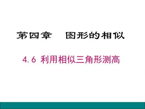 4.6利用相似三角形测高课件25张PPT
