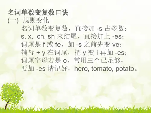 名词变复数及练习题