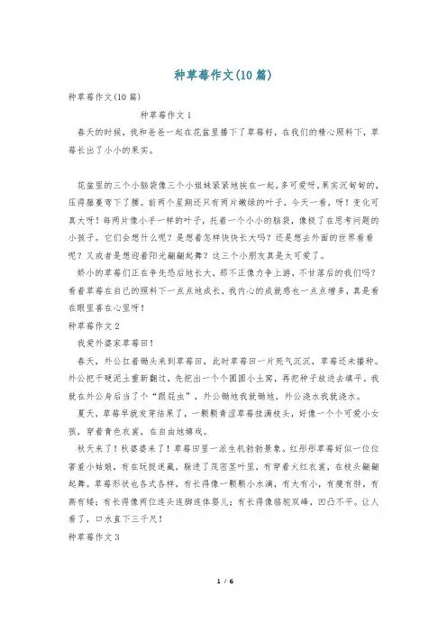 种草莓作文(10篇)