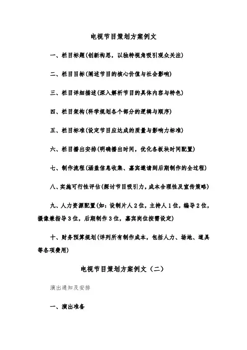 电视节目策划方案例文（五篇）