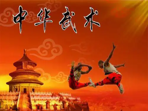 武术PPT.