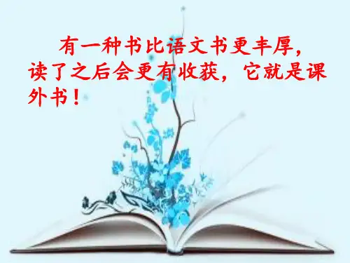 《小飞人卡尔松》课外导读课公开课课件教案教学设计