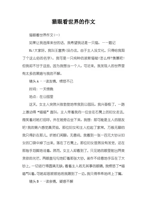 猫眼看世界的作文