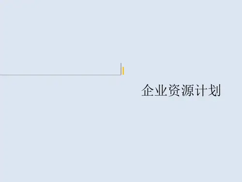 企业资源计划