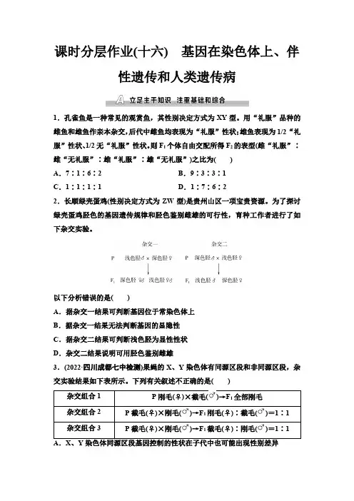 人教版高考生物一轮复习课时分层作业16基因在染色体上、伴性遗传和人类遗传病含答案