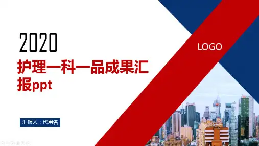护理一科一品成果汇报ppt