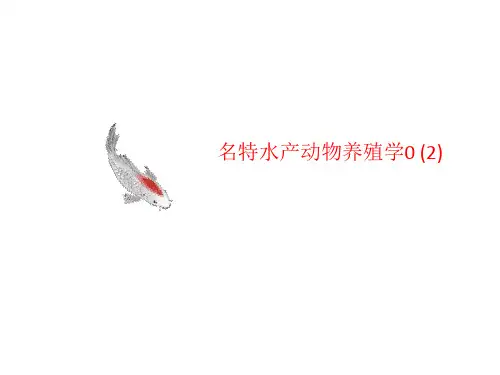 名特水产动物养殖学0 (2)-课件