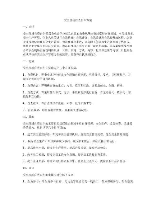 安全现场自查自纠方案