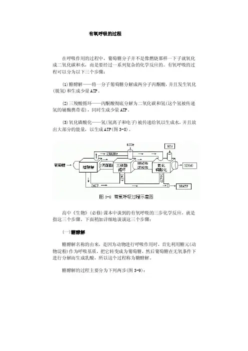 有氧呼吸的过程有氧呼吸