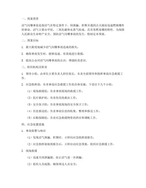沼气闪爆事故预案方案