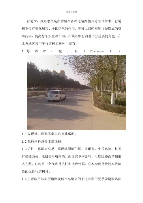 园林树木学实践