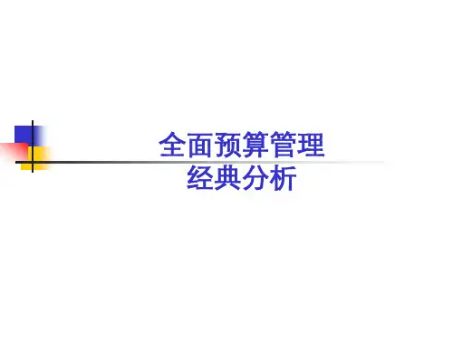 最有用的全面预算管理PPT