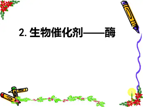 生物催化剂PPT课件