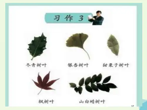 五年级语文上册习作三秋天的树叶作文全国公开课一等奖百校联赛微课赛课特等奖PPT课件