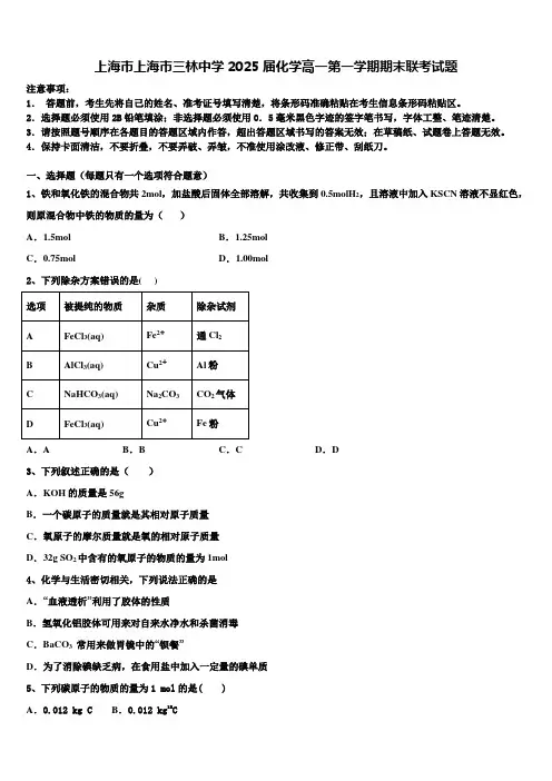上海市上海市三林中学2025届化学高一第一学期期末联考试题含解析