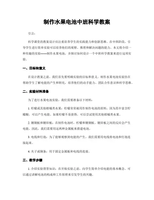 制作水果电池中班科学教案