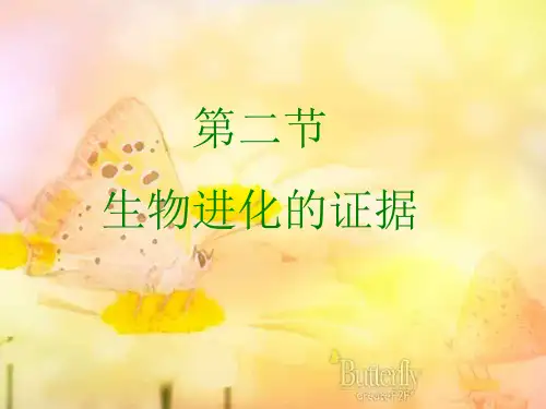 济南版生物八年级下册5.1.2《生物进化的证据》ppt课件6