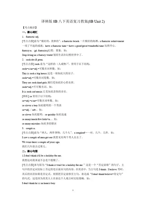 译林版8B八下英语复习教案(8B Unit 2)