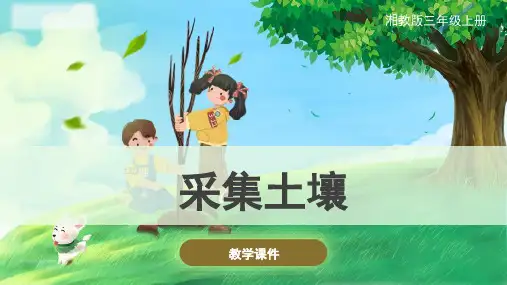 三年级上册科学采集土壤课件